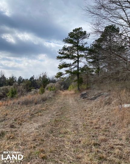 Hunting Property for sale in Saint Clair County, Alabama