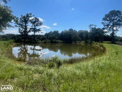 Farm and Ranch for sale in Coffee County, Alabama