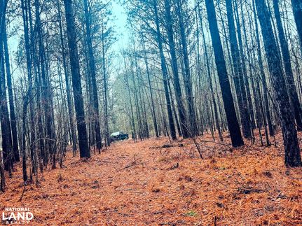 Hunting Property for sale in Taliaferro County, Georgia