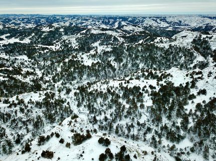 Undeveloped Land for sale in Billings County, North Dakota