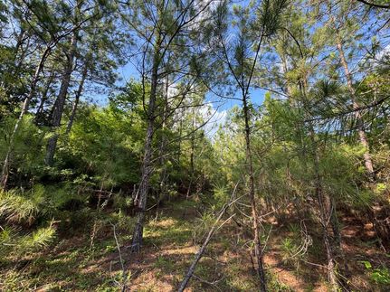 Farm and Ranch for sale in Choctaw County, Alabama