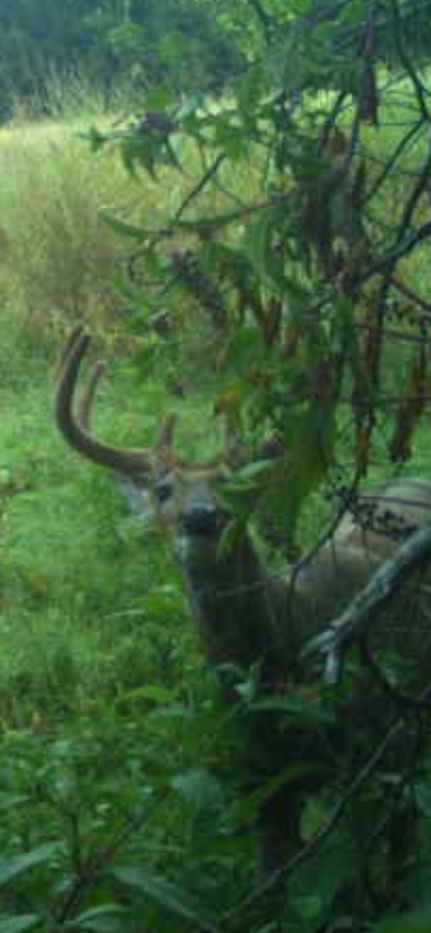 Farm and Ranch for sale in Benton County, Arkansas