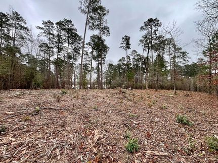 Homesite for sale in Sabine Parish, Louisiana