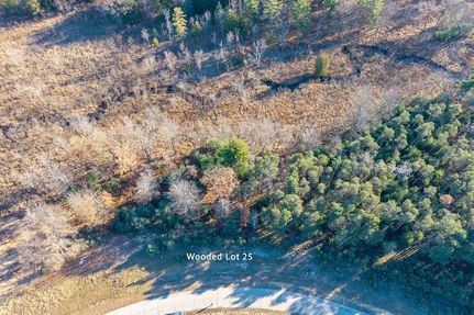 Undeveloped Land for sale in Mecosta County, Michigan