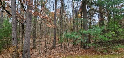 Land for sale in Sullivan County, New York