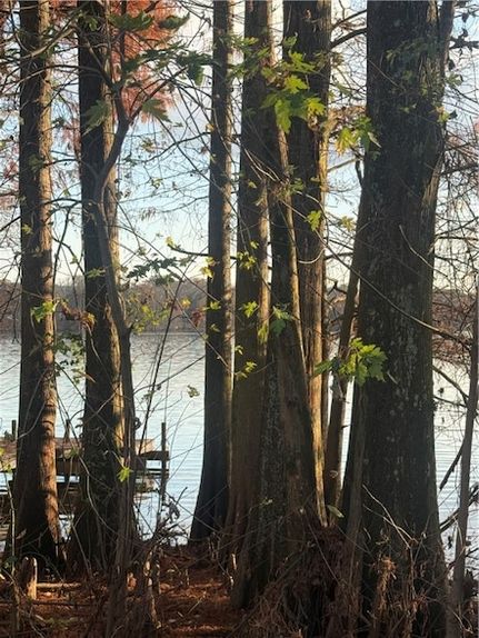 Land for sale in Pope County, Arkansas