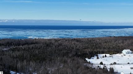 Undeveloped Land for sale in Leelanau County, Michigan