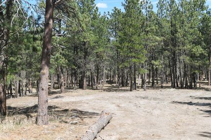 Undeveloped Land for sale in Butte County, South Dakota