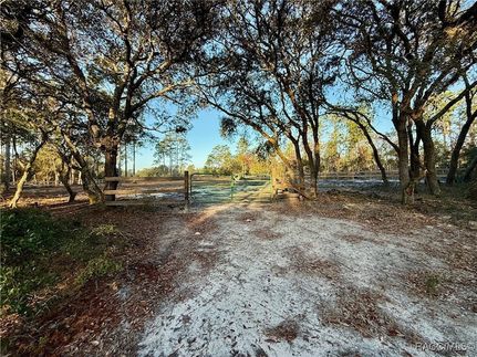 Undeveloped Land for sale in Levy County, Florida
