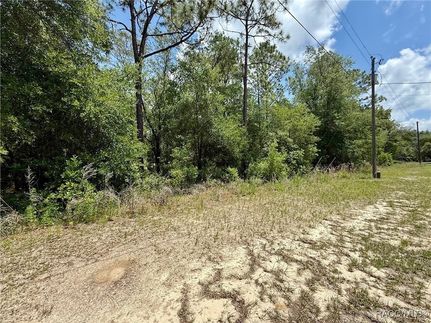Undeveloped Land for sale in Citrus County, Florida