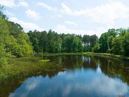 Undeveloped Land for sale in West Feliciana Parish, Louisiana