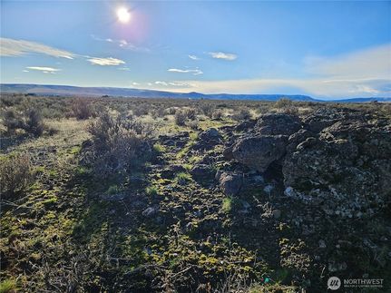 Homesite for sale in Douglas County, Washington