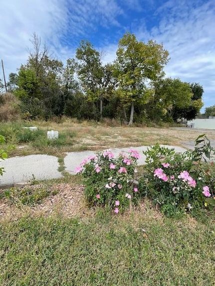 Undeveloped Land for sale in Chippewa County, Minnesota