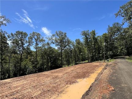 Homesite for sale in Sabine Parish, Louisiana