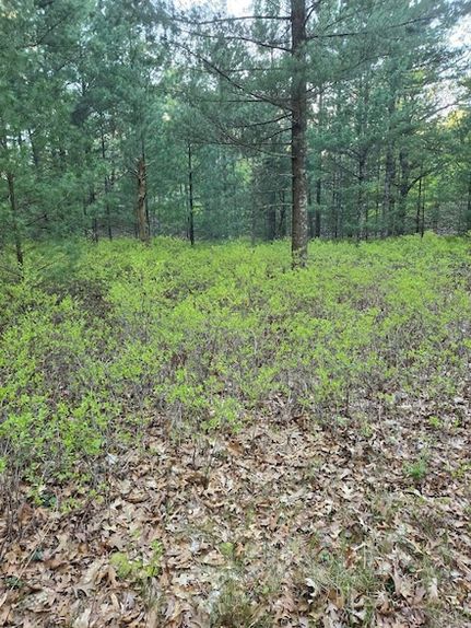 Homesite for sale in Oceana County, Michigan
