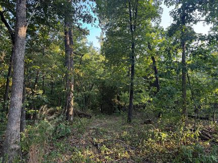 Recreational Property for sale in Madison County, Missouri