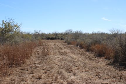 Undeveloped Land for sale in Brooks County, Texas