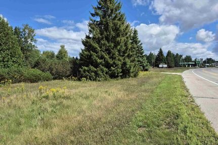 Undeveloped Land for sale in Schoolcraft County, Michigan