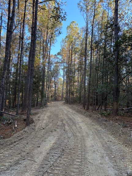 Recreational Property for sale in Washington County, Alabama