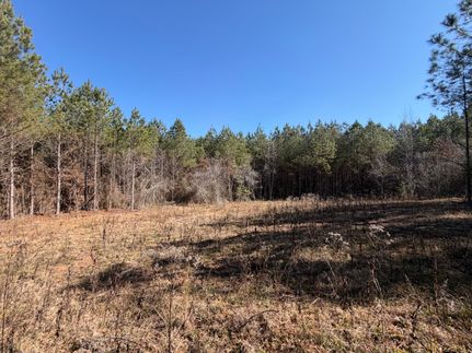 Farm and Ranch for sale in Choctaw County, Mississippi