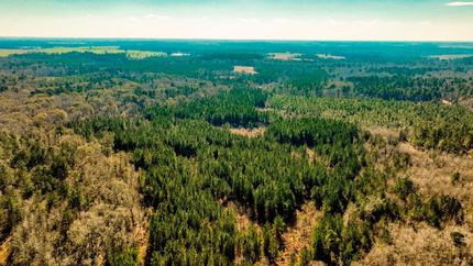 Land for sale in Jenkins County, Georgia