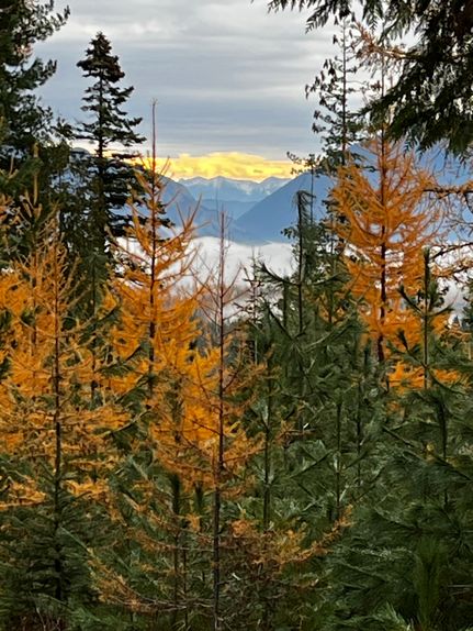 Land for sale in Flathead County, Montana