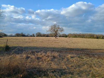 Farm and Ranch for sale in Freestone County, Texas