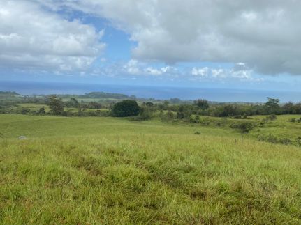 Farm and Ranch for sale in Hawaii County, Hawaii