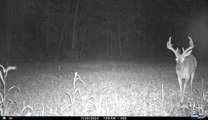 Land in Portage County, Ohio