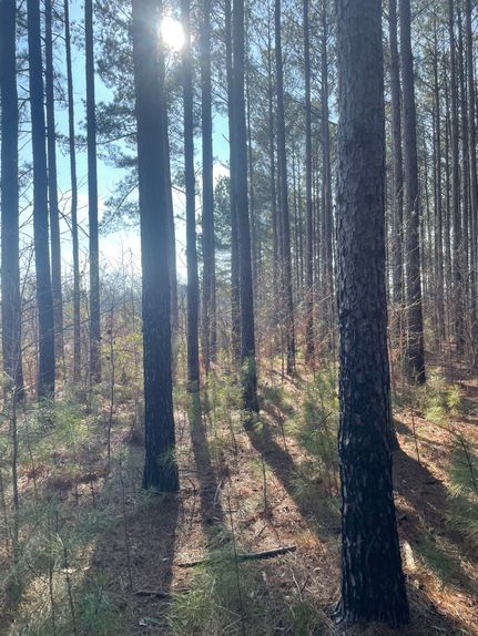 Farm and Ranch for sale in Upson County, Georgia