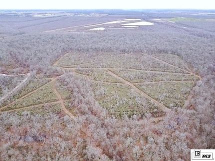 Undeveloped Land for sale in Ouachita Parish, Louisiana