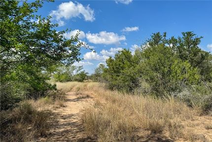 Land for sale in Live Oak County, Texas