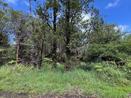 Land for sale in Hawaii County, Hawaii