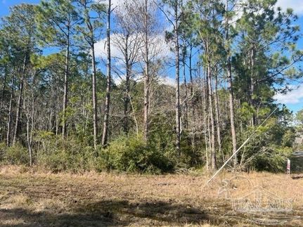 Homesite for sale in Santa Rosa County, Florida