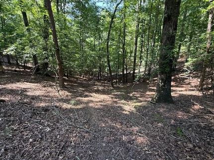 Undeveloped Land for sale in Gilmer County, Georgia