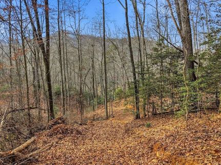 Undeveloped Land for sale in Jackson County, North Carolina