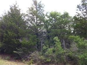 Homesite for sale in Bastrop County, Texas