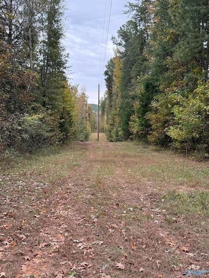 Land for sale in Lawrence County, Alabama