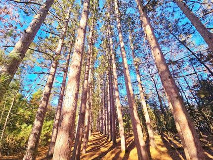 Homesite for sale in Adams County, Wisconsin