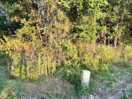 Homesite for sale in Ascension Parish, Louisiana