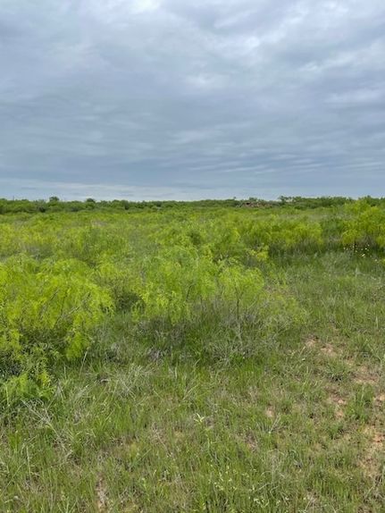 Undeveloped Land for sale in Clay County, Texas