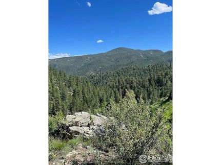 Homesite for sale in Larimer County, Colorado