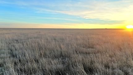 Farm and Ranch for sale in Kiowa County, Colorado