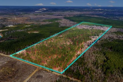 Undeveloped Land for sale in Twiggs County, Georgia