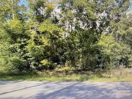 Undeveloped Land for sale in Marion County, Florida