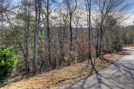 Undeveloped Land for sale in Fannin County, Georgia