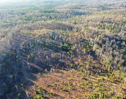 Land for sale in Fulton County, Arkansas