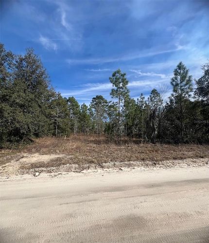 Homesite for sale in Levy County, Florida
