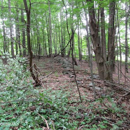 Land for sale in Saratoga County, New York