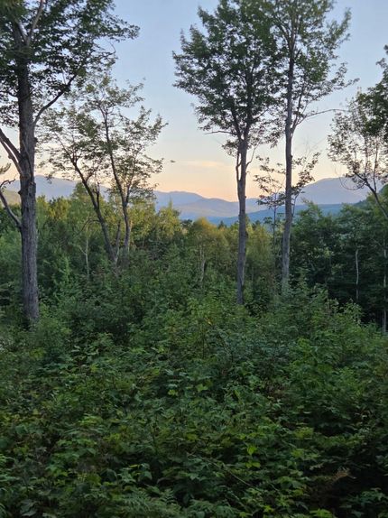 Homesite for sale in Coos County, New Hampshire